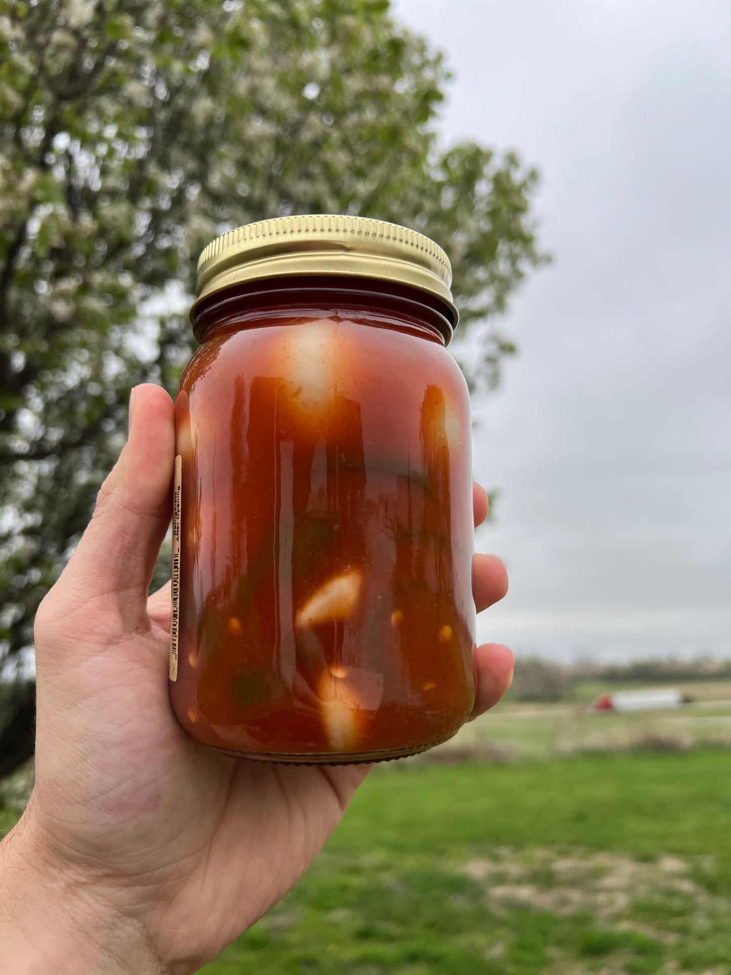 Pickled Sriracha Quail Eggs