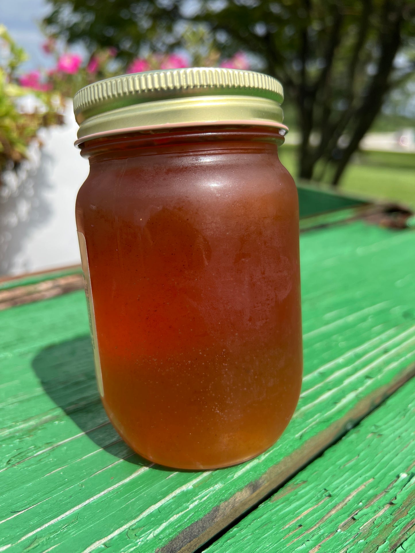 Apple Cinnamon Jelly 18oz