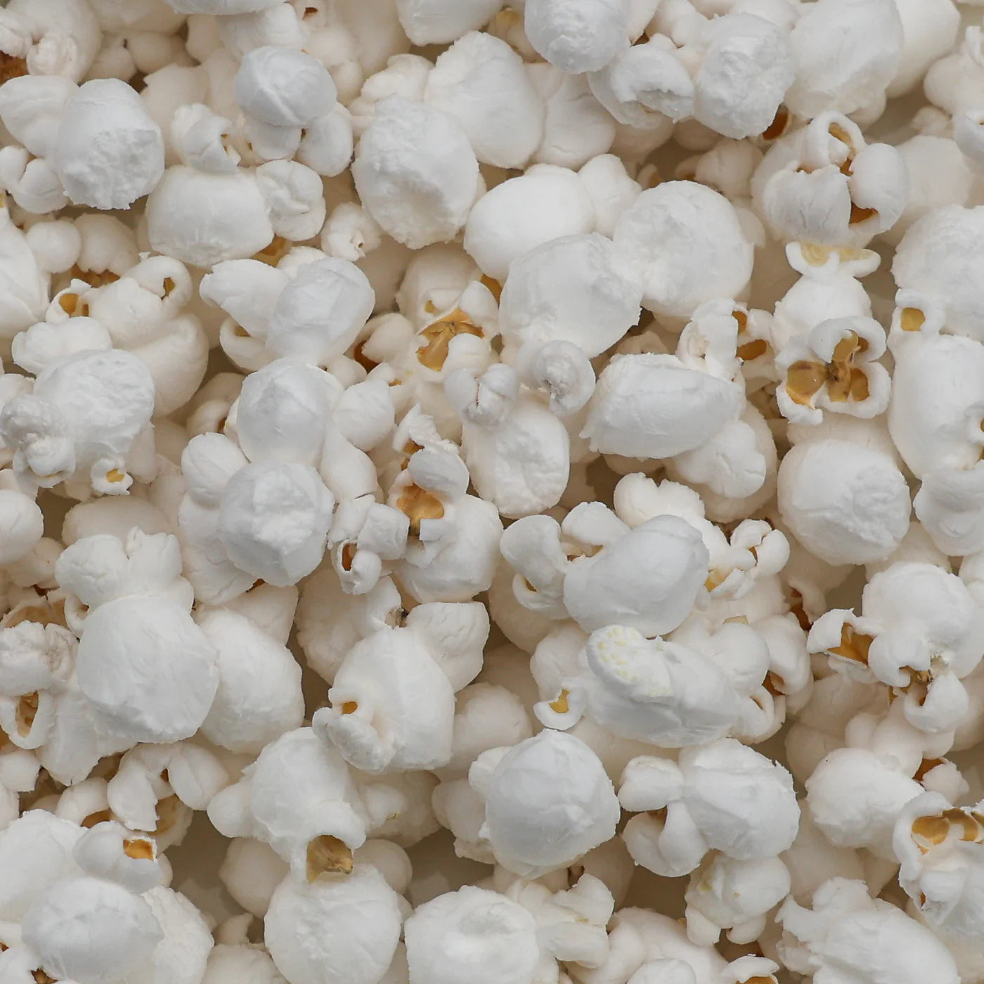 Baby White Hulless Popcorn Kernels (2 lb Bag) | Amish Country Store