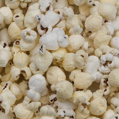 Purple Popcorn Kernels (2 lb Bag) | Amish Country Store