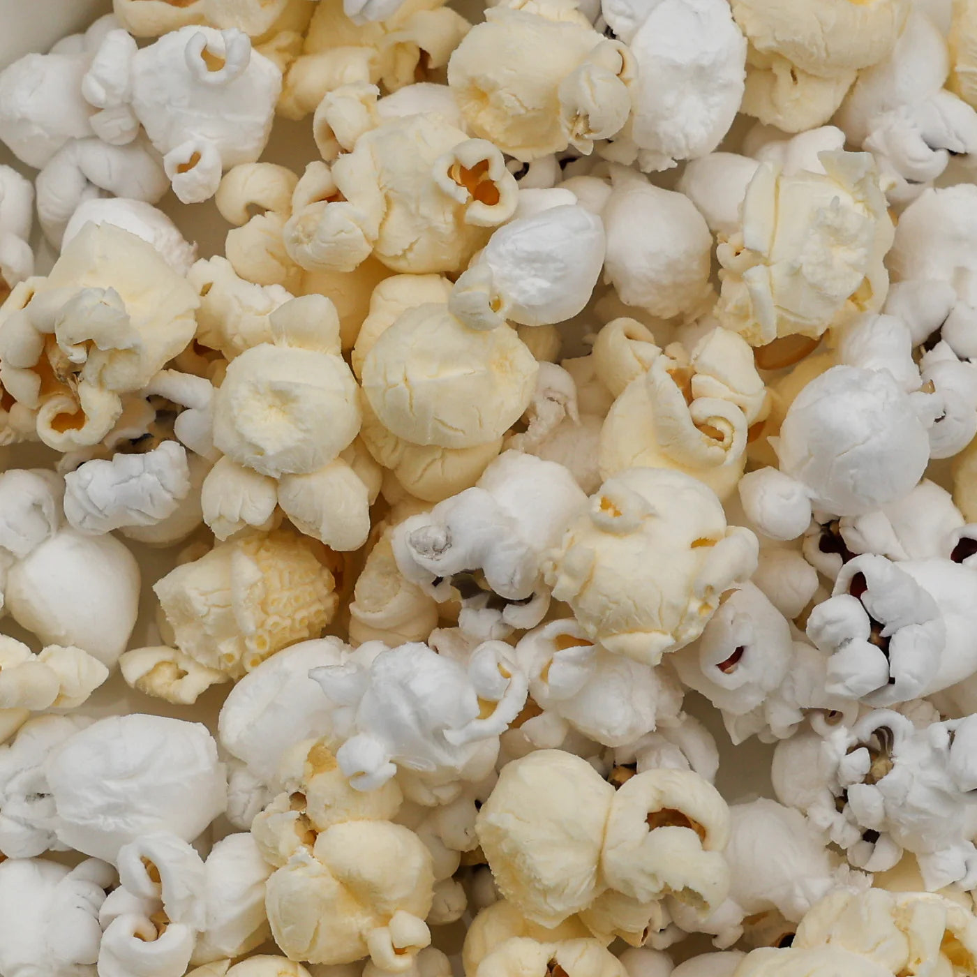 Amish Rainbow Popcorn Kernels (2 lb Bag) | Amish Country Store