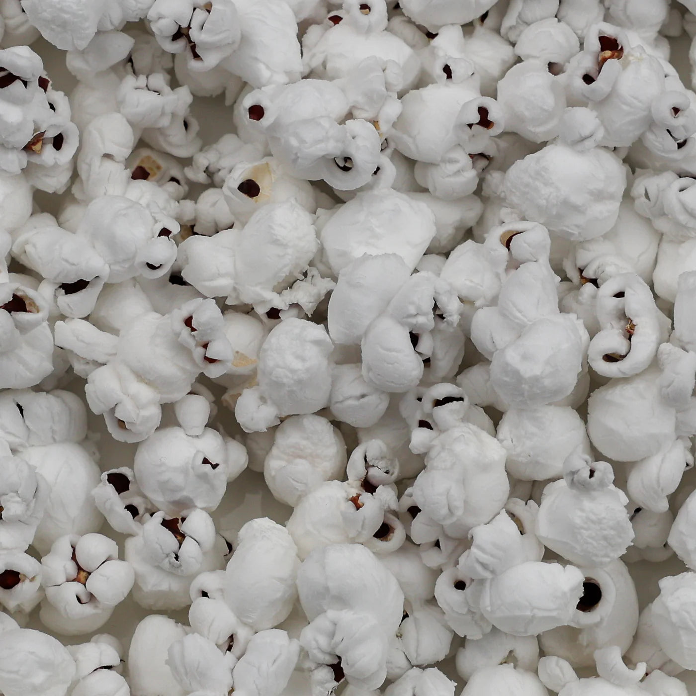 Red Popcorn Kernels (2 lb Bag) | Amish Country Store