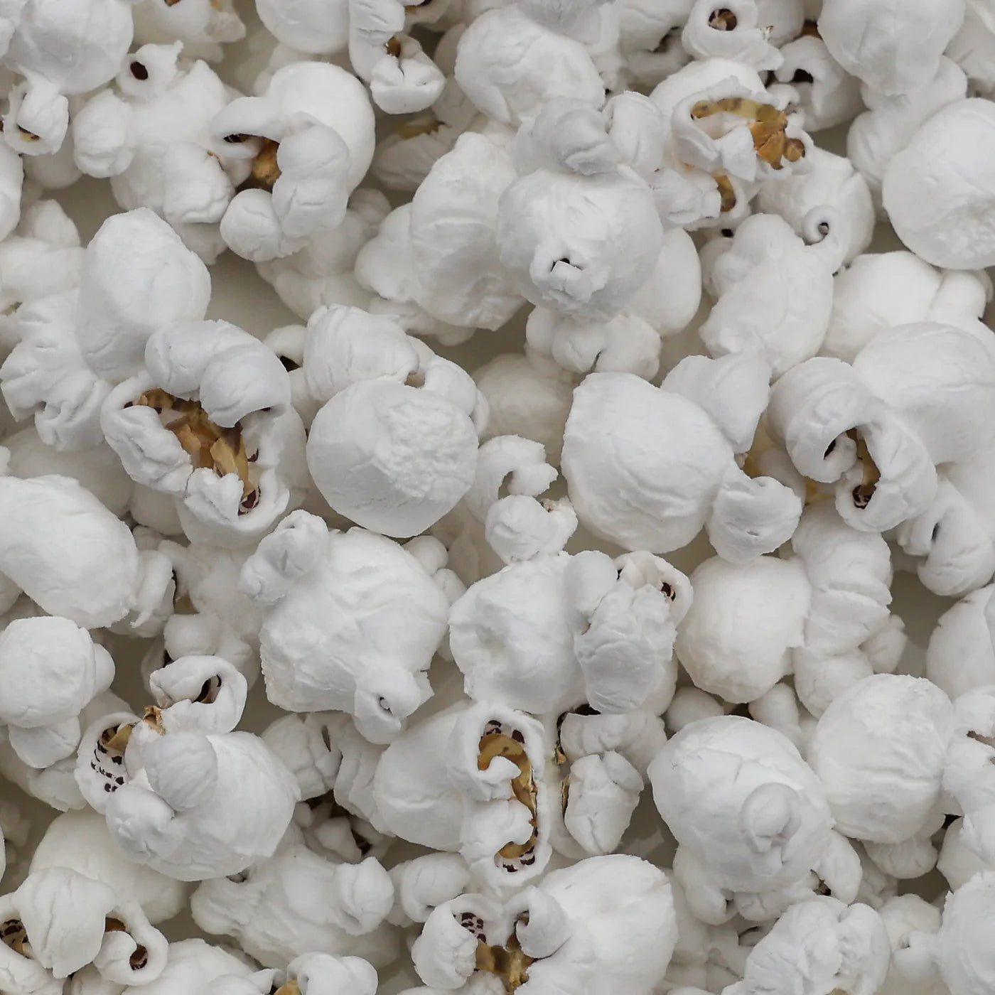 Amish Blue Popcorn Kernels (2 lb Bag) | Amish Country Store