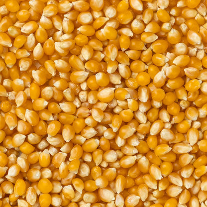 Medium Yellow Popcorn Kernels (2 lb Bag) | Amish Country Store